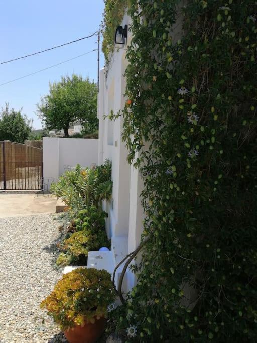 Casa Jardin. Vivienda Rural En Zona Tranquila. Villa Lucainena de las Torres Exterior photo