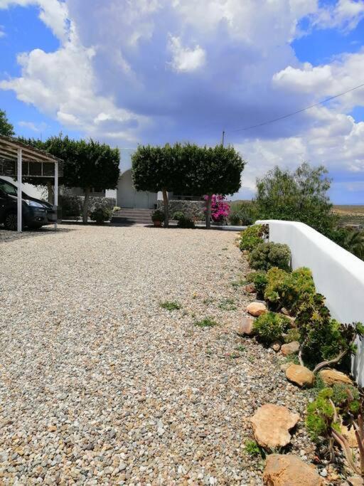 Casa Jardin. Vivienda Rural En Zona Tranquila. Villa Lucainena de las Torres Exterior photo