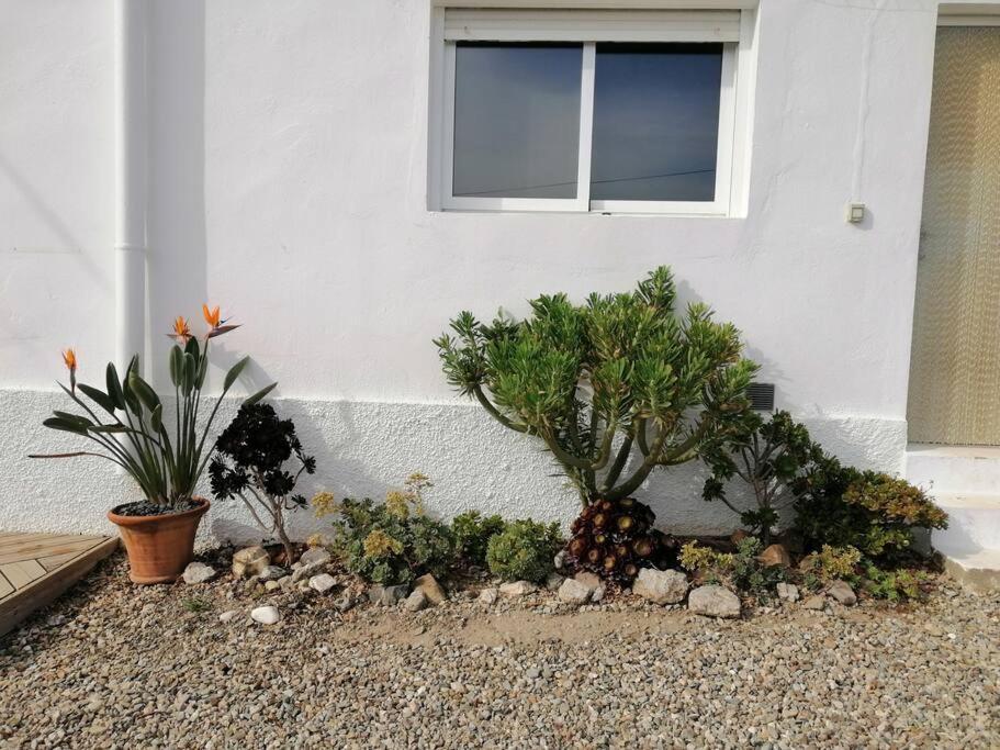 Casa Jardin. Vivienda Rural En Zona Tranquila. Villa Lucainena de las Torres Exterior photo